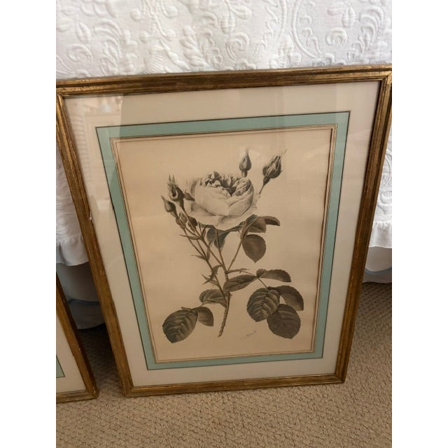 Traditional 1930s Pierre-Joseph Redoute Botanical Florals - Pair For Sale - Image 3 of 9