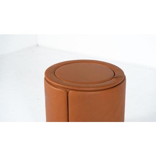 Dilly Daily Vanity in Brown Leather attributed to Luigi Massoni for Poltrona Frau, 1968 For Sale - Image 3 of 18