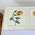 Farmhouse 1970s Vintage Arts & Crafts Farmhouse Sunflower Folk Art Painted Pine Bench. For Sale - Image 3 of 18