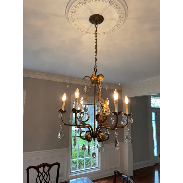 Curry and Co. Tuscan crystal chandelier. 24 in across . 30 in high . Hung in a dining room with 9ft. Ceiling. Excellent...
