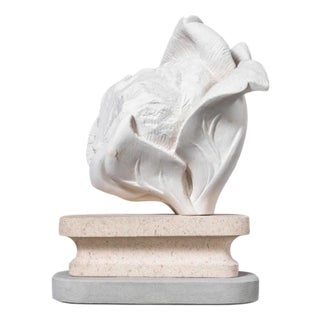 Marcia Bennett-Male, Chalk Pit Cauliflower, Stone For Sale