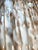 White Large 1950s Murano Aventurine Fluted Glass Table Lamp For Sale - Image 8 of 11