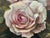 Marian Miller Original Floral Still Life Painting in the Style of Jean Baptiste Robie For Sale - Image 4 of 12