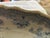Cornflower Blue Mid 19th Century Asiatic Pheasant Platter For Sale - Image 8 of 14