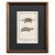 Black Early 19th Century Cabinet of Curiosities, Set of 9 | Buffon Natural History Engravings of Spiders, Insects & Reptiles For Sale - Image 8 of 11