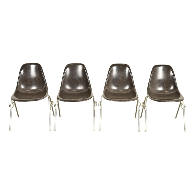 Charles & Ray Eames for Herman Miller DSS Seal Brown Stacking Shell Chairs | Set of Four For Sale