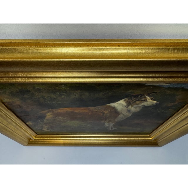 Late 19th Century Important British c.1898 Victorian Oil Portrait of a Rough Collie Dog After John Emms Gilt Framed For Sale - Image 5 of 18