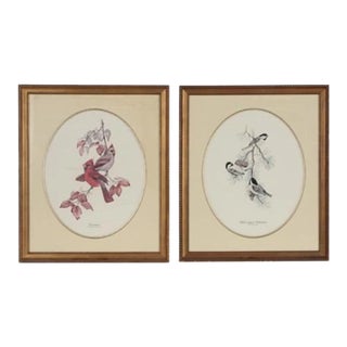 Don Whitlatch Offset Lithographs "Cardinal" and "Black-Capped Chickadee" For Sale