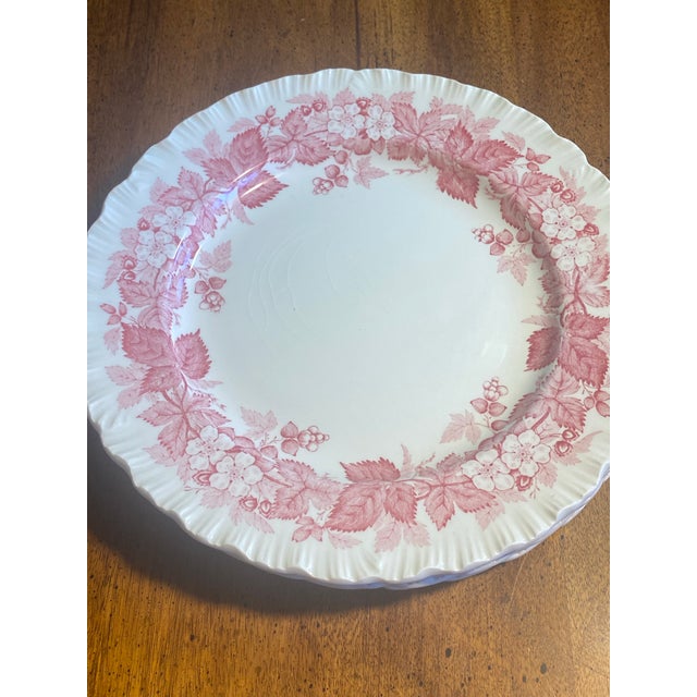 1960s Wedgwood Bramble Pink 8.25” Set of 4 Plates For Sale - Image 11 of 12