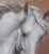 Figurative A Willing Spirit #7 by Barbara Fox | Oil on Copper Painting of a white horse head For Sale - Image 3 of 5