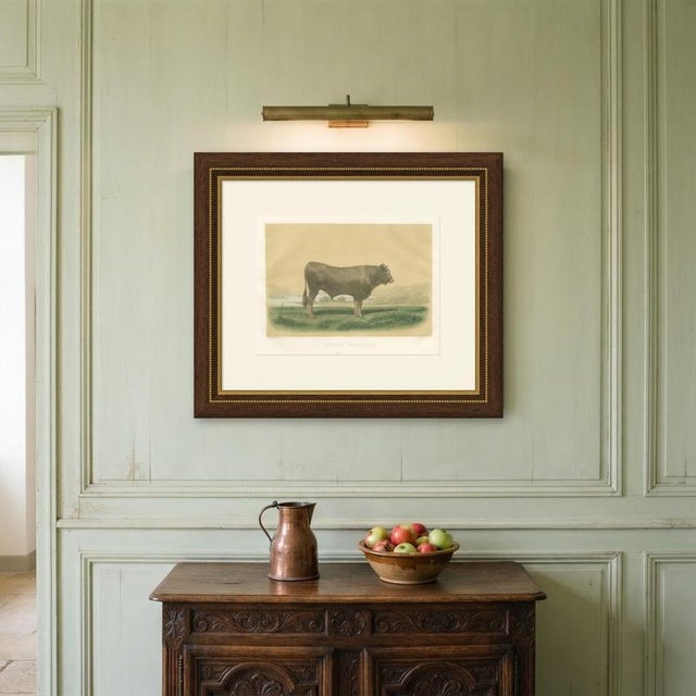 After Isidore Bonheur, Garonnais Bull, , 1873, Paper For Sale - Image 11 of 12