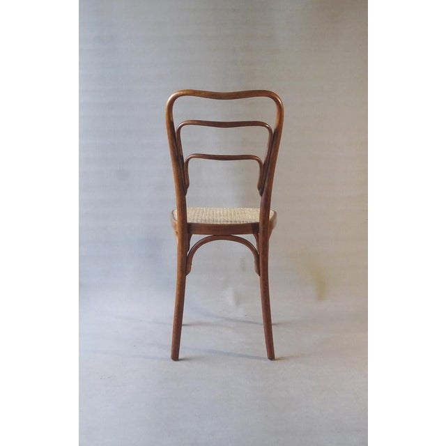 Curved Wooden No. 248 A Chair from J & J Kohn, 1910 For Sale - Image 4 of 11