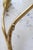 Art Deco Astra Wall Light in Brass, Norway, 1950s For Sale - Image 15 of 16