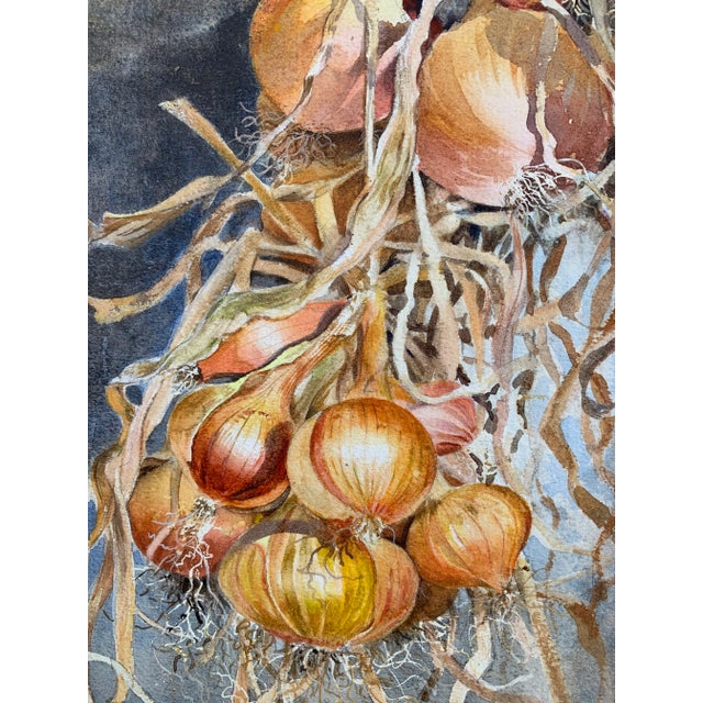 1990s Realistic Still Life Watercolor Painting of Onions by Gillean Whitaker, Framed For Sale - Image 5 of 7
