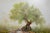 1970s Pair of Nora Alleda Hirano Landscape Paintings For Sale - Image 5 of 8
