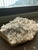 Large Brazilian Quartz Crystal Cluster Specimen For Sale - Image 6 of 10