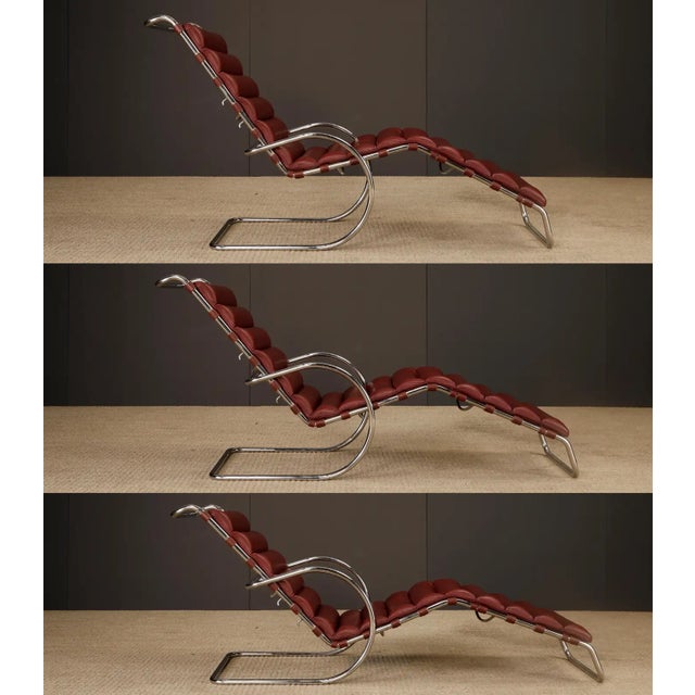 Animal Skin Oxblood Leather Mr Adjustable Chaise Lounge by Mies Van Der Rohe for Knoll Intl For Sale - Image 7 of 11