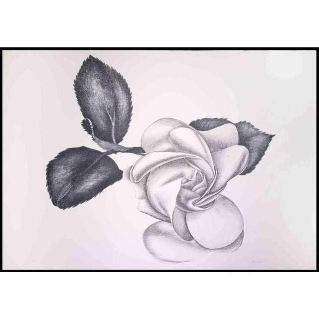 Black Rose is an original modern artwork realized by the Italian artist Giacomo Porzano (1925-2006) in 1972 Black and...