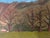 Farmhouse Vintage 1966 Ted M Original Oil Painting Mountain Landscape Signed Framed For Sale - Image 3 of 6