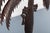 Wrought Metal Palm Tree by Atelier Marolles For Sale - Image 5 of 10