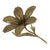 Mid-Century Modern Brass Lily Flower Sculpture Figurine Ashtray, 1960s For Sale - Image 18 of 18