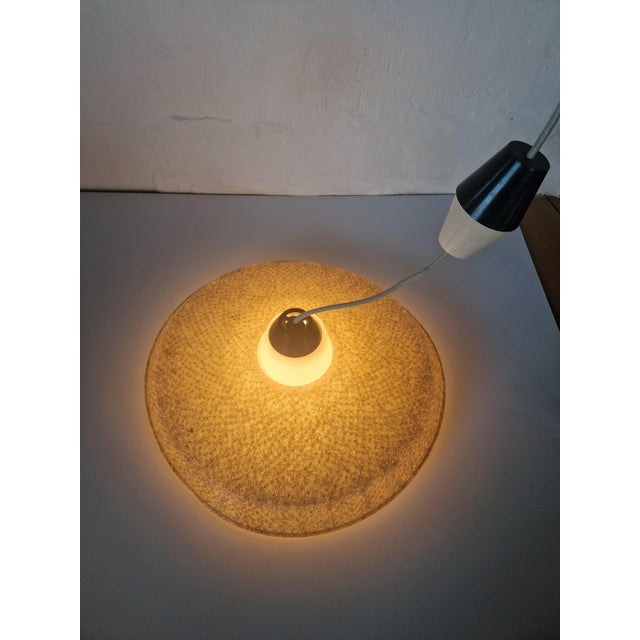 Fiberglass Pendant Lamp by Louis Kalff for Philips, 1950s For Sale - Image 13 of 14