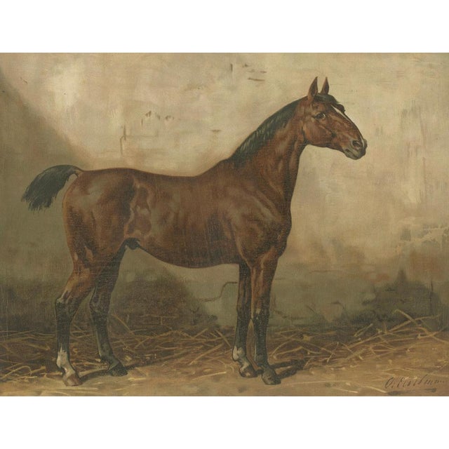 After Eerelman, Holstein Horse Portrait,.1898, Lithograph For Sale - Image 3 of 10