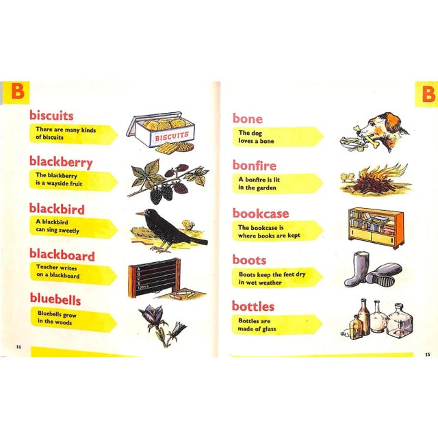 Your Very Own Picture Dictionary For Sale In New York - Image 6 of 7