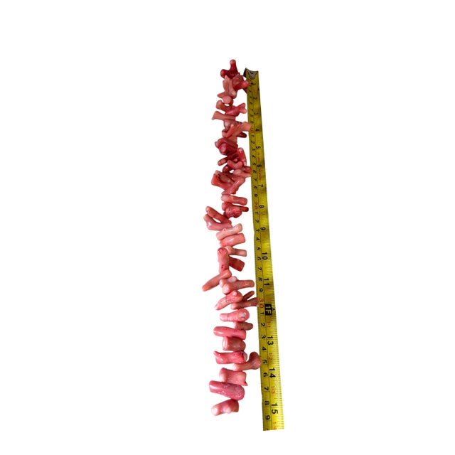 Vintage Natural African Angel Skin Coral Branch Trade Beads Strand /Currency /Necklace 52 Pieces For Sale - Image 4 of 7