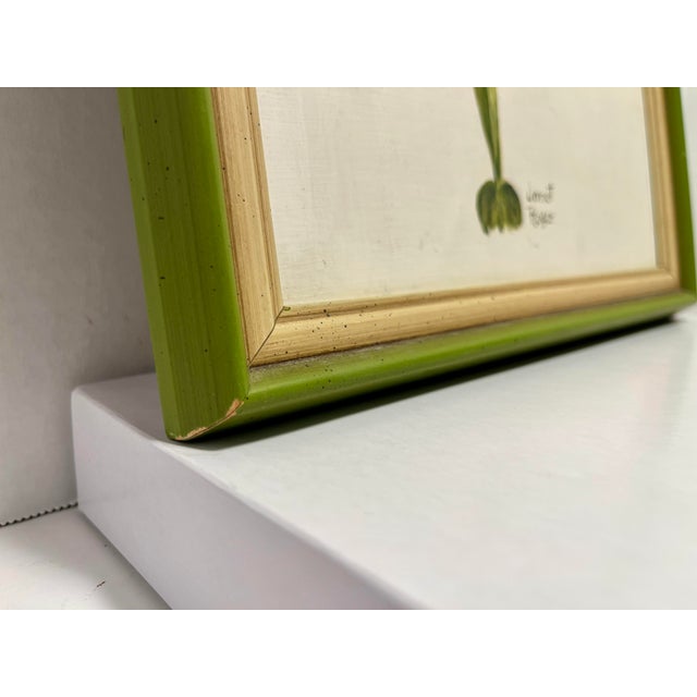 1970's Janet Royce Pansy Orchid Oil on Board Painting For Sale - Image 4 of 6