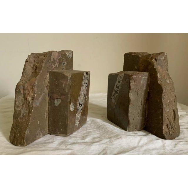 Vintage Natural Limestone With Fossils Bookends - a Pair For Sale In Philadelphia - Image 6 of 8