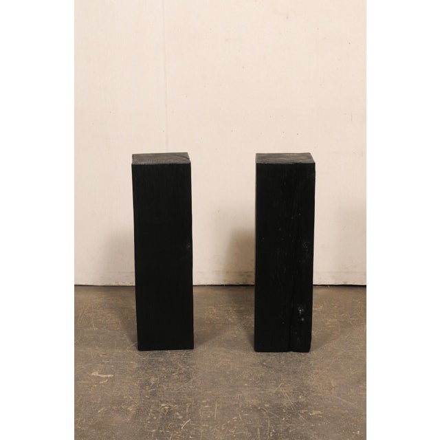 19th Century Indonesian Carbonized Ironwood Pedestal Columns – A Pair For Sale - Image 11 of 12