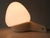 1950s Mid-Century Modern Sconce by Wilhelm Wagenfeld for Lindner, 1950s For Sale - Image 5 of 17