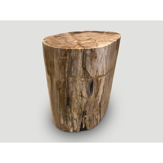 Andrianna Shamaris Large Ancient Petrified Wood Side Table For Sale - Image 10 of 18