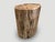 Andrianna Shamaris Large Ancient Petrified Wood Side Table For Sale - Image 10 of 18