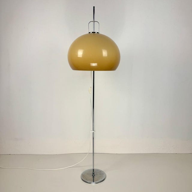Mid-Century Modern Lucerna Floor Lamp by Luigi Massoni for Guzzini, 1970s For Sale - Image 10 of 10