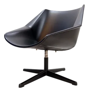 Vintage FM08 Chair by Cees Braakman for Pastoe, 1959