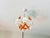 1980s Vintage Italian Murano Style Handblown Swirl Ruffled Shade Pendant, Vintage Amber Brown & White Glass Botanical Chandelier For Sale - Image 5 of 16