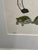 Jacquie Schmidt “Jungle Bug” Signed Limited Edition Framed Art Print Edition 13 of 130 For Sale - Image 10 of 12