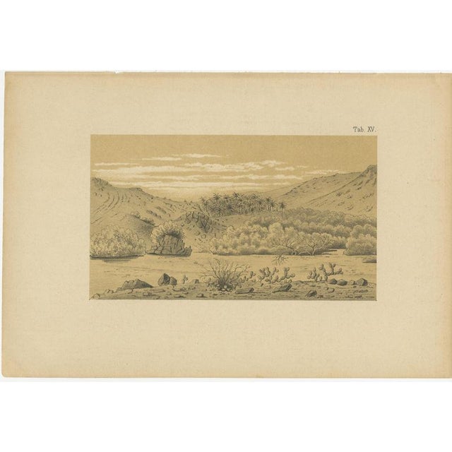Aruba landscape & mountain views dutch west indies by karl martin 1888 this rare matched pair of aruba landscape views was...