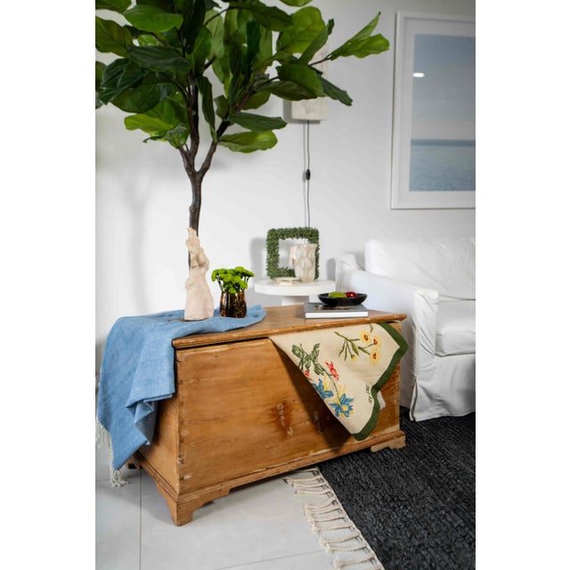 Primitive Pine Storage Chest With Original Hardware, 19th Century For Sale In Tampa - Image 6 of 7