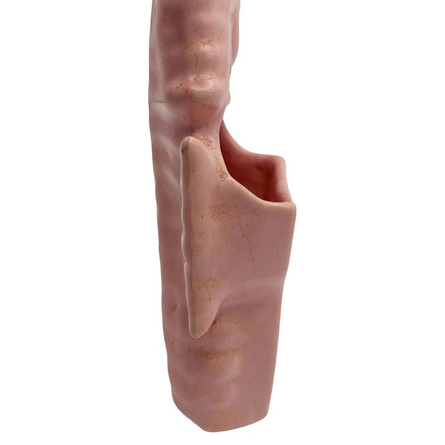 1950s Rare Mid 20th Century Ceramic California Pottery Pink Seahorse Flower Wall Vase For Sale - Image 5 of 8