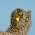 Climbing Monkey Lamps Mario Lopez Torres - A Pair For Sale In West Palm - Image 6 of 9