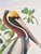1960s 1964 Audubon Folio Lithograph Great Bird Paintings - "Brown Pelican" 17x14 For Sale - Image 5 of 6