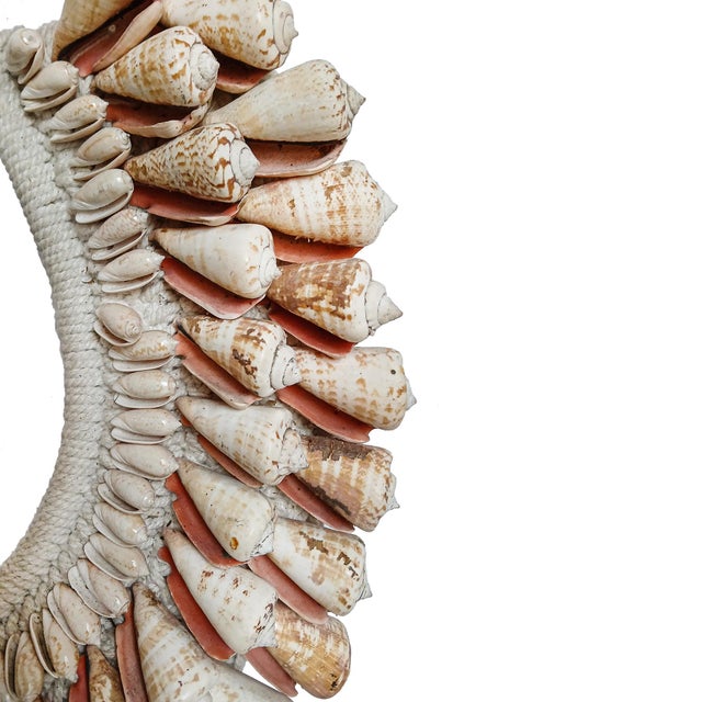 Cone Shell Necklace on Stand, Papua New Guinea, Contemporary For Sale - Image 12 of 16