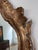 Italian Giltwood Rococo Style Mirror For Sale - Image 4 of 12