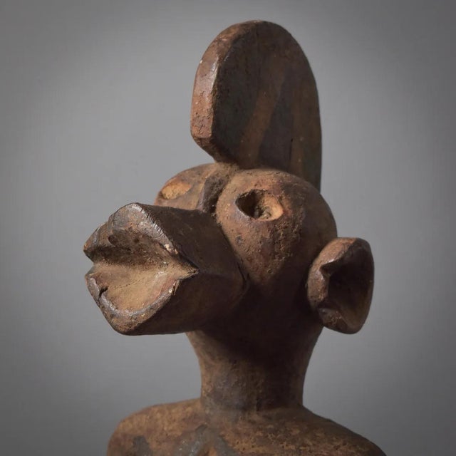 The Mama can be found on the plateaus of northern Nigeria, stretching from the state of Ebbi to the border of Cameroon....