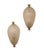 Murano Glass and Brass Wall Lamps attributed to Paolo Venini for Venini, Italy, 1940s, Set of 2 For Sale - Image 9 of 9
