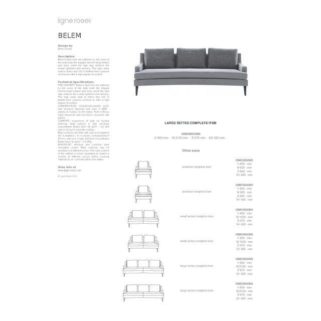 Ligne Roset Belem Sofa For Sale - Image 9 of 10
