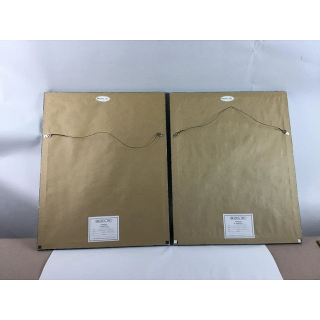 19th Century Paris Botanical Lithograph Prints by Chirat - a Pair For Sale - Image 11 of 13